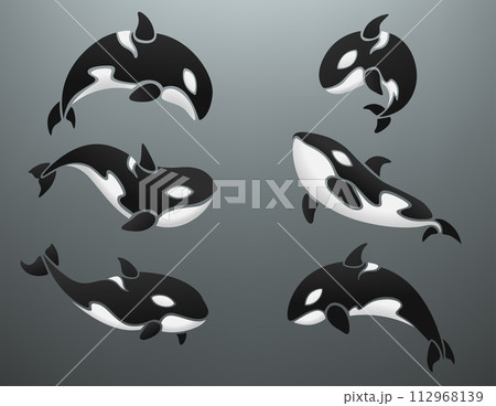 Orca Logotype Set, Vector Illustration 112968139