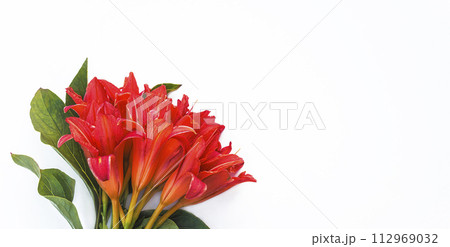 Bouquet of orange daylilies or hemerocallis fulva flowers on a white background Bouquet of orange daylilies or hemerocallis fulva flowers on a white background 112969032
