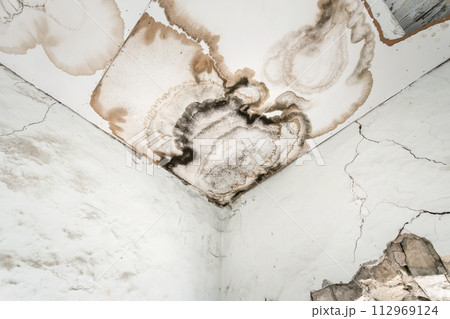 Mould in the wall Mould in the wall 112969124