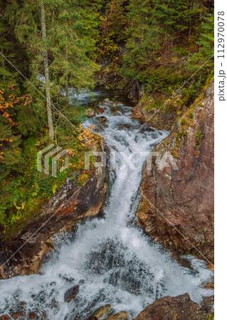 Wild river waterfall in mountain forest Wild river waterfall in mountain forest 112970078