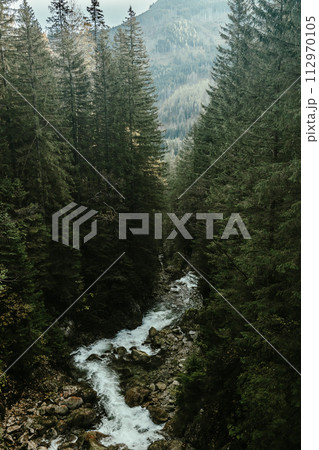 Wild river waterfall in mountain forest Wild river waterfall in mountain forest 112970105