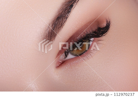 Female Eye with Extreme Long False Eyelashes Female Eye with Extreme Long False Eyelashes 112970237