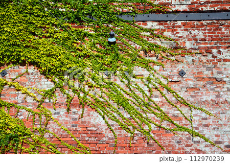 箱館・西波止場と金森赤レンガ倉庫エリアの歴史的情緒 箱館・西波止場と金森赤レンガ倉庫エリアの歴史的情緒 112970239