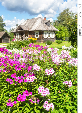 Beautiful pink decorative flowers against the background of a wooden house in the countryside Beautiful pink decorative flowers against the background of a wooden house in the countryside 112970291