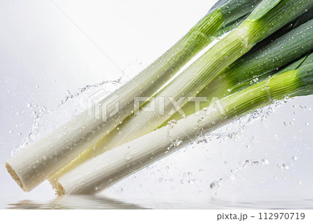 白長ネギと水飛沫 112970719