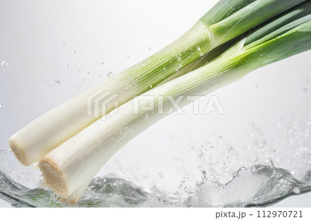 白長ネギと水飛沫 112970721