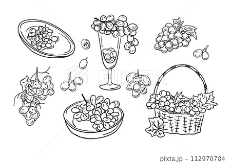 Collection of sketchy contour drawings of grapes. Vector black outline doodles of branches of berries on white background. Ideal for coloring pages, tattoo, pattern Collection of sketchy contour drawings of grapes. Vector black outline doodles of branches of berries on white background. Ideal for coloring pages, tattoo, pattern 112970784