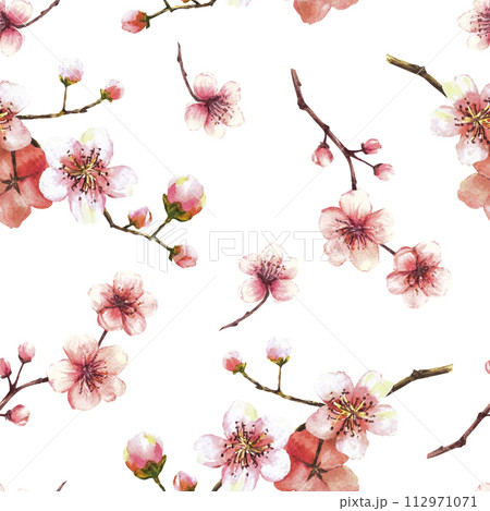 Watercolor blooming branch from tree, sakura, cherry buds and flowers seamless pattern Spring blossoms, springtime watercolor clipart for fabric print Hand drawn isolated illustration white background 112971071