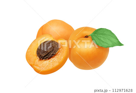 あんずのイラスト リアル 112971628