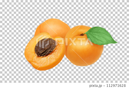 あんずのイラスト リアル 112971628