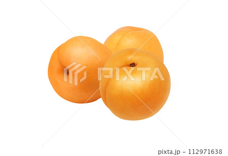 あんずのイラスト リアル 112971638