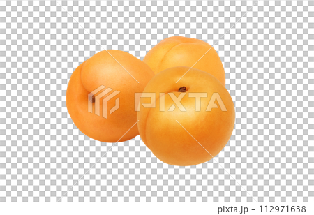 あんずのイラスト リアル 112971638