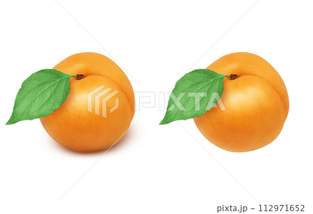 あんずのイラスト リアル あんずのイラスト リアル 112971652