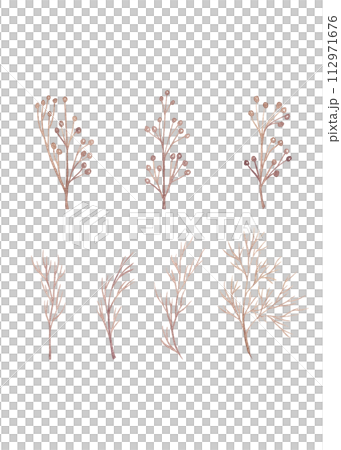 A set of twigs without leaves. Watercolor illustrations of brown tones A set of twigs without leaves. Watercolor illustrations of brown tones 112971676