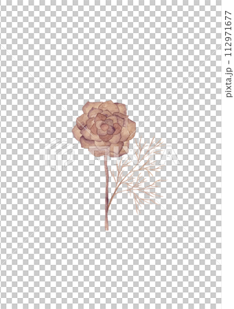 A fantasy flower with a bud of many petals and cobwebby leaves. Floral watercolor illustration in brown tones A fantasy flower with a bud of many petals and cobwebby leaves. Floral watercolor illustration in brown tones 112971677