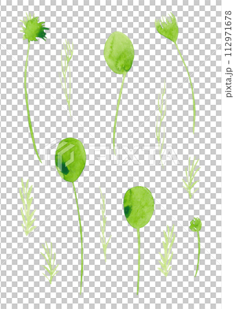 Twigs and flowers in light green watercolor. Flower clip-art Twigs and flowers in light green watercolor. Flower clip-art 112971678