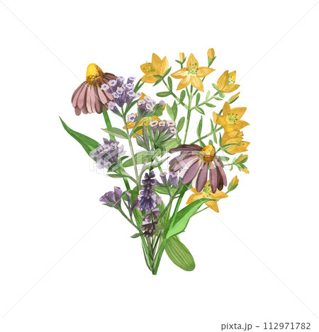 A bouquet of meadow herbs painted in watercolor. Echinacea, heather, lungwort, hypericaceae, hand drawn in watercolor. Suitable for printing on fabric and paper, for textile design, scrapbooking. 112971782