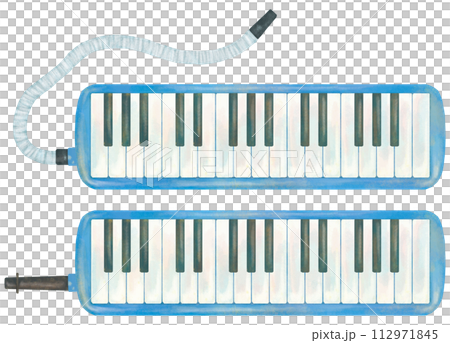 鍵盤ハーモニカのイラストセット 112971845