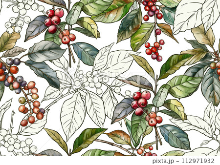 Coffee tree. Branch with leaves and berries.  Coffee tree. Branch with leaves and berries.  112971932