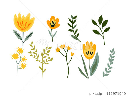 Set of hand drawn yellow flowers, leaves and branches. Vector illustration Set of hand drawn yellow flowers, leaves and branches. Vector illustration 112971940