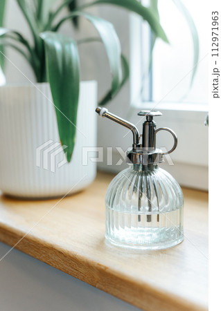 Houseplant with a plant mister bottle on a wooden windowsill 112971963