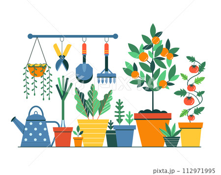 Gardening Composition with Vegetable Plants and Gardening Tools 112971995
