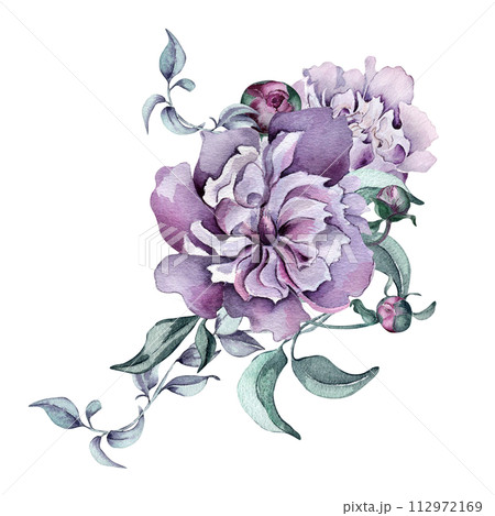 Watercolor purple flowers and foliage isolated on white. Gothic floral Illustration hand drawn. Botanical art with dark pink peony, leaves. wedding decoration, invitation, backdrop, card, printing Watercolor purple flowers and foliage isolated on white. Gothic floral Illustration hand drawn. Botanical art with dark pink peony, leaves. wedding decoration, invitation, backdrop, card, printing 112972169
