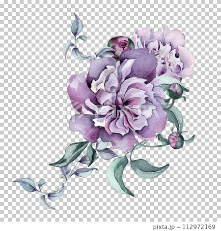 Watercolor purple flowers and foliage isolated on white. Gothic floral Illustration hand drawn. Botanical art with dark pink peony, leaves. wedding decoration, invitation, backdrop, card, printing Watercolor purple flowers and foliage isolated on white. Gothic floral Illustration hand drawn. Botanical art with dark pink peony, leaves. wedding decoration, invitation, backdrop, card, printing 112972169