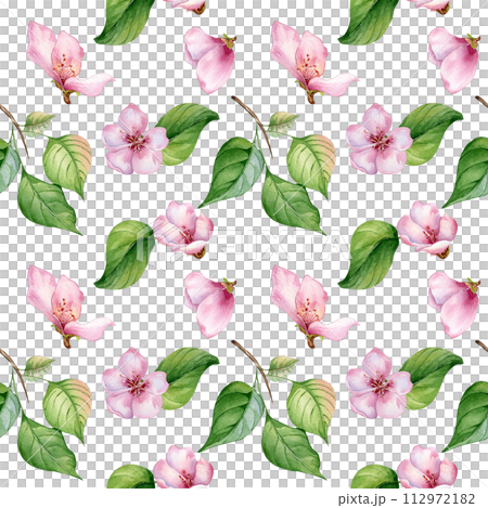 Pink flowers of apricot tree and leaves seamless pattern watercolor isolated on white. Blossom fruit tree branch hand drawn. Design element for packaging, backdrop, wallpaper, textile 112972182