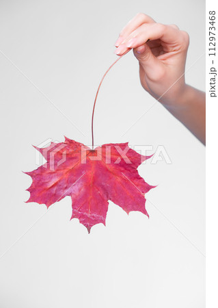 Skincare. Hand with maple leaf as symbol red dry capillary skin. 112973468
