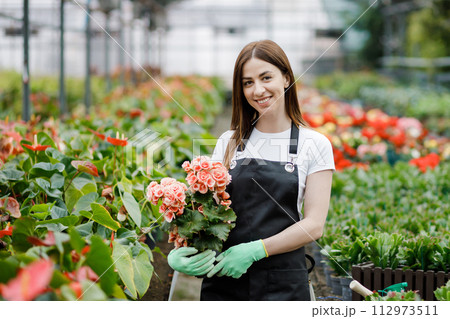 Woman holds a pot of flowers in her hands, growing plants for sale, plant as a gift, flowers in a greenhouse, potted plant. 112973511