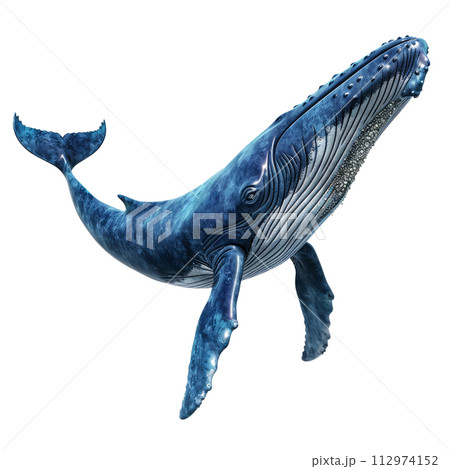 Blue Whale isolated on white background 112974152