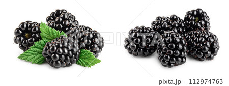 blackberry with leaf isolated on a white background closeup 112974763