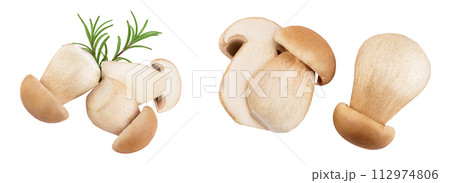 Fresh porcini cep mushroom isolated on white background. Top view. Flat lay Fresh porcini cep mushroom isolated on white background. Top view. Flat lay 112974806