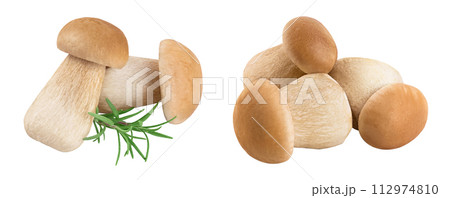 Fresh porcini cep mushroom isolated on white background with full depth of field Fresh porcini cep mushroom isolated on white background with full depth of field 112974810