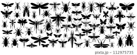 Insect Collection. Ancient insects, Jurassic period	 112975735