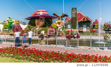 Dubai miracle garden timelapse with over 45 million flowers in a sunny day, United Arab Emirates 112976846