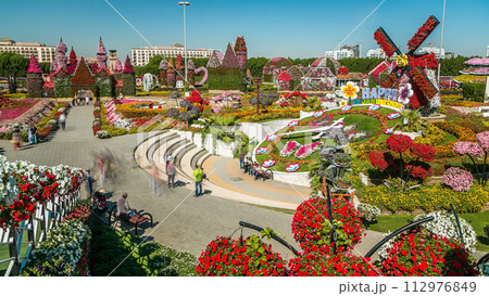 Dubai miracle garden timelapse with over 45 million flowers in a sunny day, United Arab Emirates 112976849