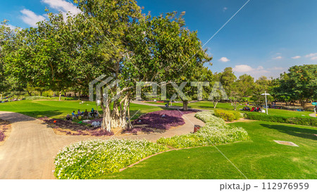 Alley with green lawn and trees at Dubai Creek park timelapse. Dubai, United Arab Emirates 112976959