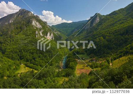 Canyon and Tara river. Montenegro. 112977036