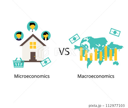 Microeconomics is concerned with the actions of individuals and businesses, while macroeconomics is focused on the actions that governments and countries take to influence broader economies 112977103