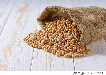 Raw soybeans in sack on a light table, selective focus. Raw soybeans in sack on a light table, selective focus. 112977541