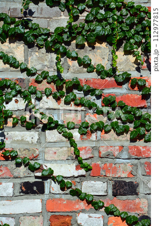 箱館・西波止場と金森赤レンガ倉庫エリアの歴史的情緒 箱館・西波止場と金森赤レンガ倉庫エリアの歴史的情緒 112977815