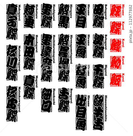鮃 鰈 ヒラメ カレイ ひらめ かれい Flatfish Flounder ローマ字 5 鮃 鰈 ヒラメ カレイ ひらめ かれい Flatfish Flounder ローマ字 5 112977882