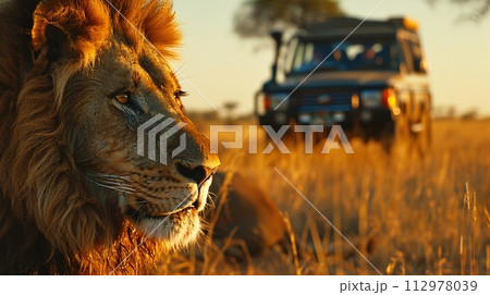 Majestic African lion at sunset, with a soft golden light illuminating its mane, observed by tourists on a safari adventure in the expansive savannah. 112978039