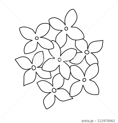 Lilac or hydrangea flowers top view, doodle style flat vector outline for coloring book Lilac or hydrangea flowers top view, doodle style flat vector outline for coloring book 112978062