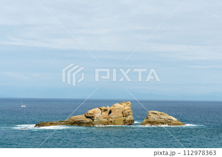 雲見海岸の牛着岩(大牛と子牛) 雲見海岸の牛着岩(大牛と子牛) 112978363