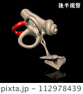 人体の後半規管 112978439