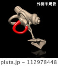 人体の外側半規管 112978448