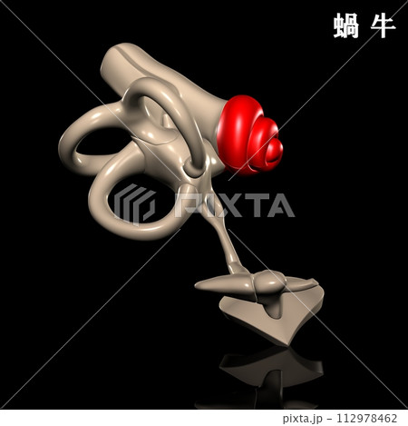 人体の蝸牛 人体の蝸牛 112978462